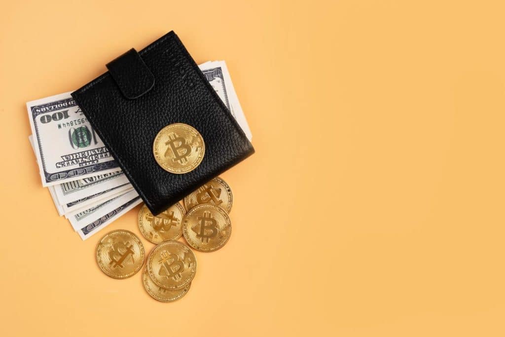 Cryptocurrency Wallets